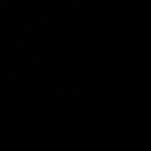 Meet your Posher, Lane